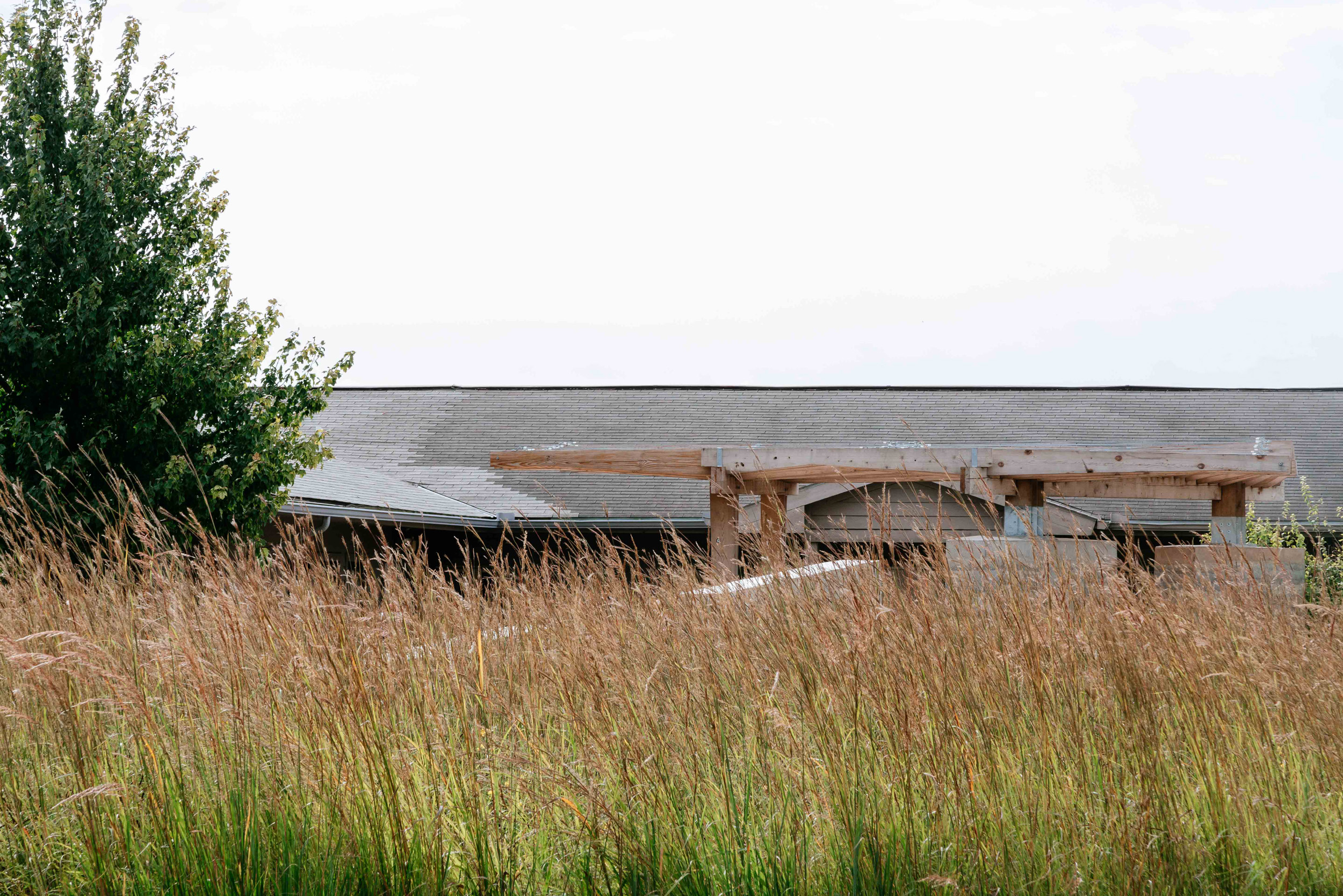 Armitage Pavilion, peeking up over the tallgrass prairie